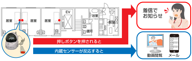 簡易カメラ